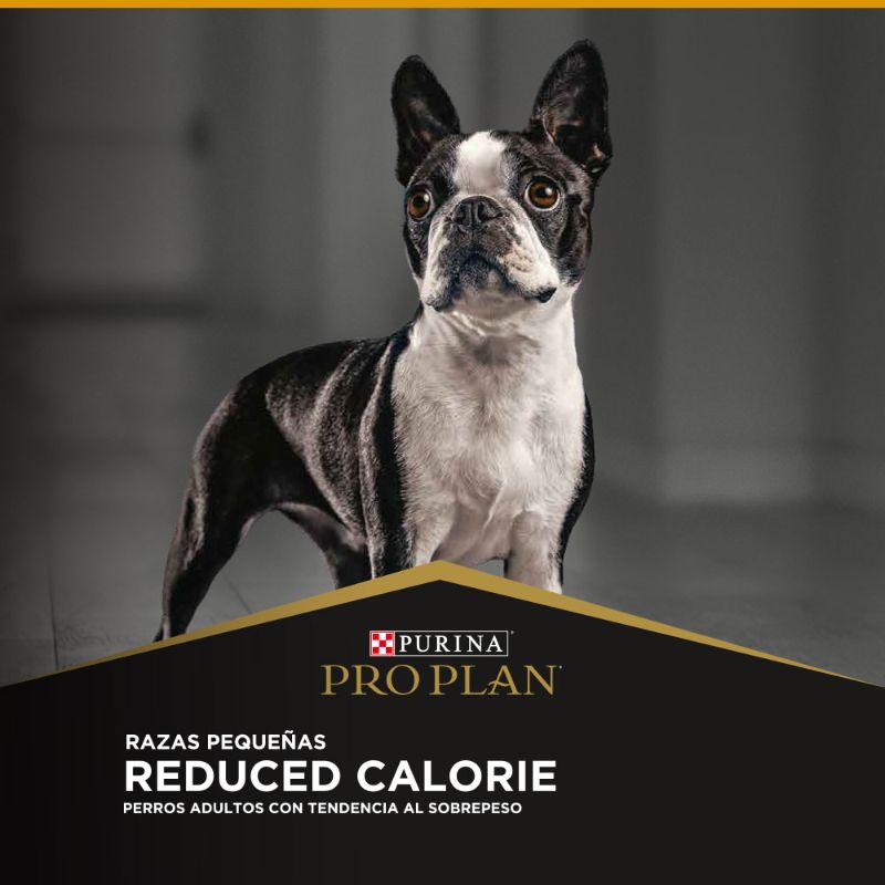Pro Plan reduce calorias razas pequeñas de 3 kg