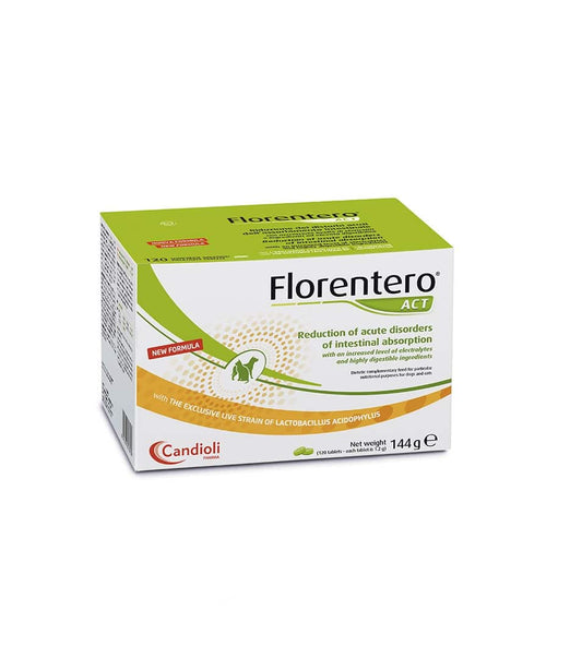 Florentero
