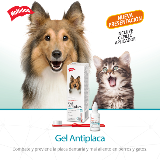 Gel Antiplaca