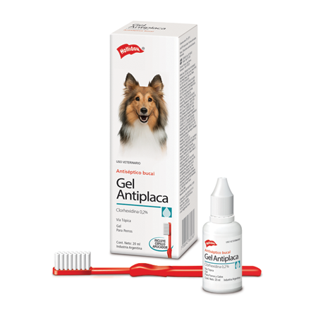 Gel Antiplaca