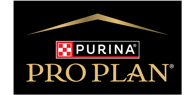 Pro Plan Active Mind razas medianas y grandes de 7 años a más 3 kg