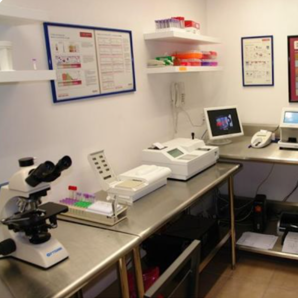 ANALISIS DE LABORATORIO