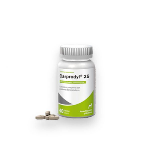 carprodyl 25