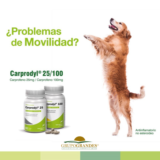 carprodyl 25