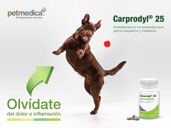 carprodyl 25