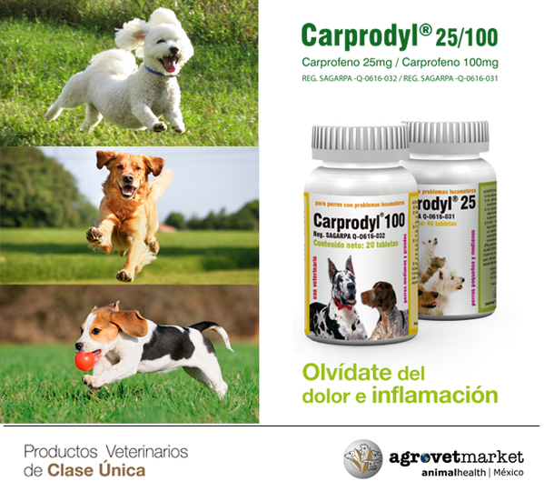 carprodyl 25