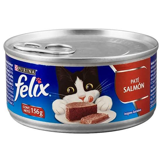 Felix lata
