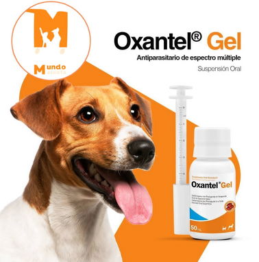 Oxantel Gel 50 ml