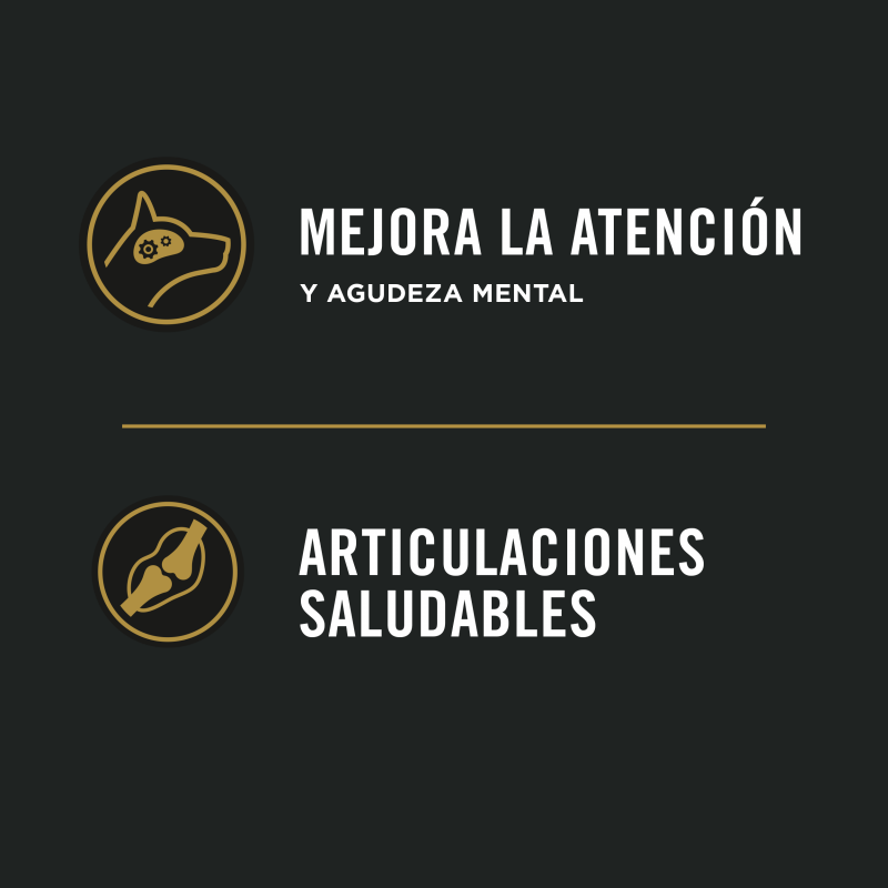 Pro Plan Active Mind razas medianas y grandes de 7 años a más 3 kg