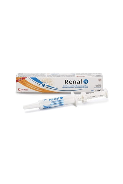 Renal N